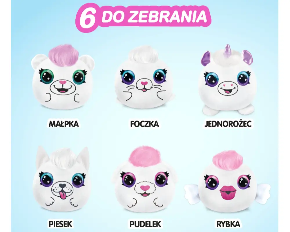 projekt plusz niespodzianka 1 pack rodzaje ep09412