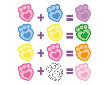 koci domek gabi 4 masy plastyczne w tubach kolory cdg60067