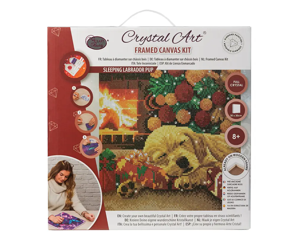 crystal art obraz spiacy labrador opak cas obraz.mix